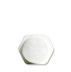 Facial Cleansing & Massage Brush (White)
